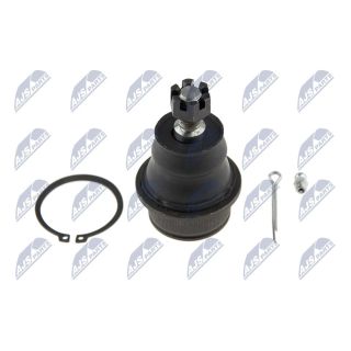 Šarnyras / girgždukas NTY ZSD-CH-021