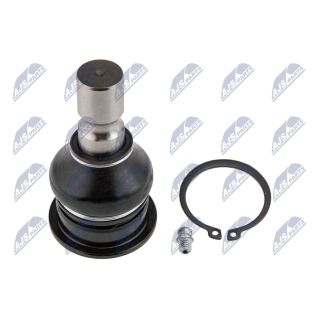 Šarnyras / girgždukas NTY ZSD-NS-014