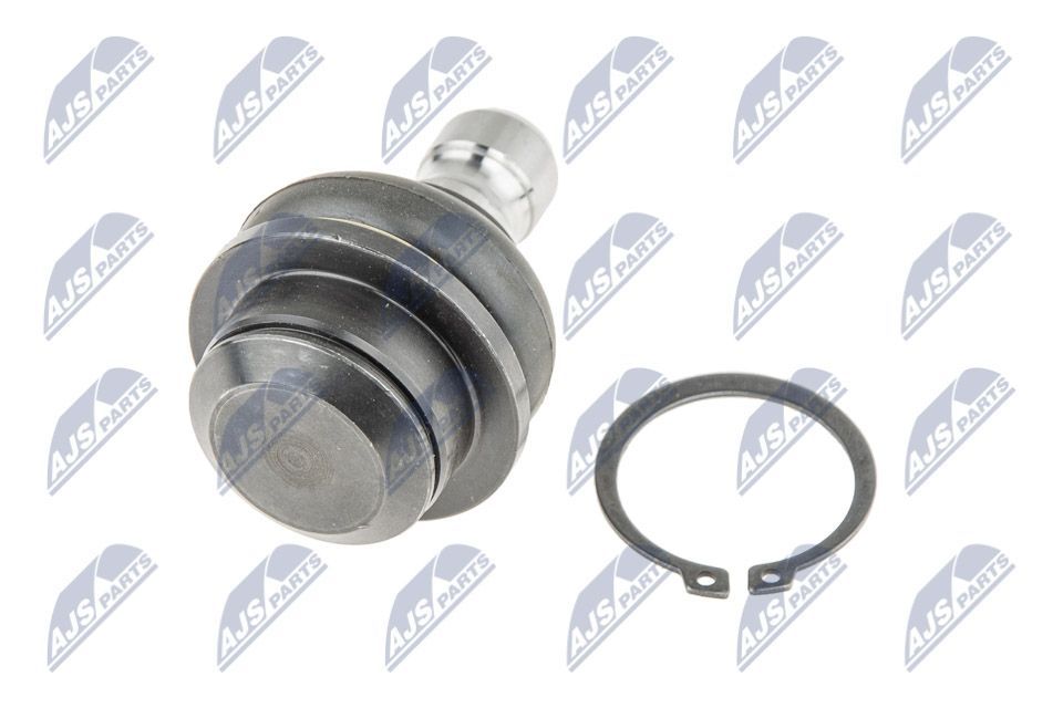 Šarnyras / girgždukas NTY ZSD-NS-027