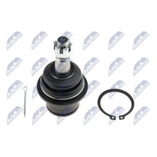 Šarnyras / girgždukas NTY ZSD-NS-038