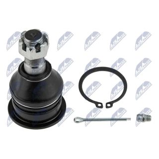 Šarnyras / girgždukas NTY ZSD-NS-041