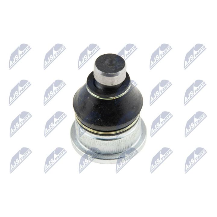 Šarnyras / girgždukas NTY ZSD-RE-003