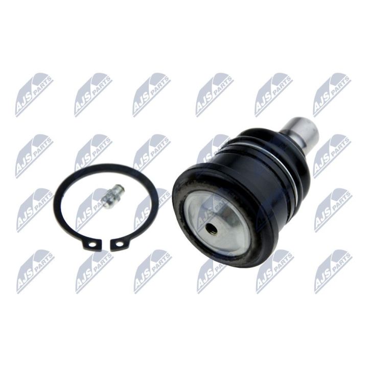 Šarnyras / girgždukas NTY ZSG-CH-004