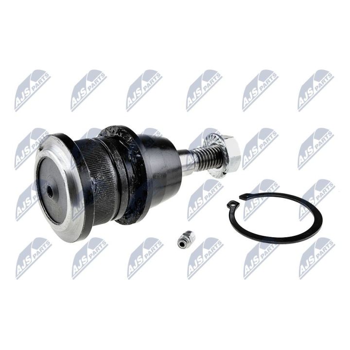 Šarnyras / girgždukas NTY ZSG-CH-011