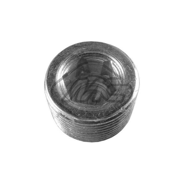 Alyvos išleidimo kaištis, alyvos karteris Metalcaucho 00676