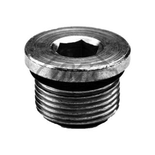 Alyvos išleidimo kaištis, alyvos karteris Metalcaucho 39193