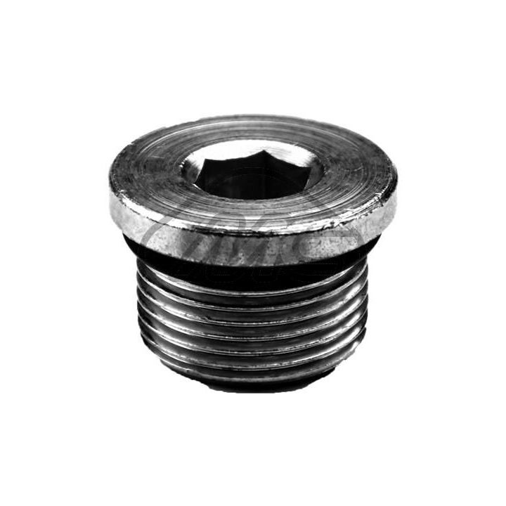 Alyvos išleidimo kaištis, alyvos karteris Metalcaucho 39193