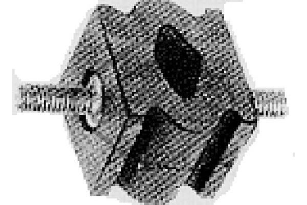 Laikiklis, išmetimo sistema Metalcaucho 00205