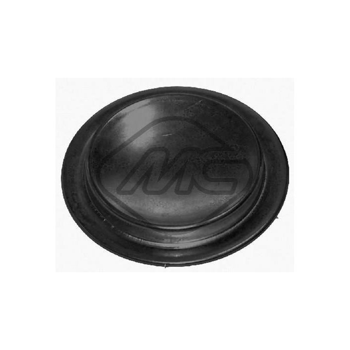 Užšalęs kaištis Metalcaucho 04893