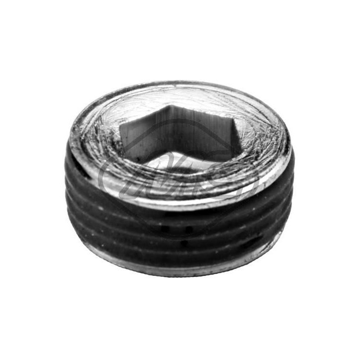 Užšalęs kaištis Metalcaucho 39188