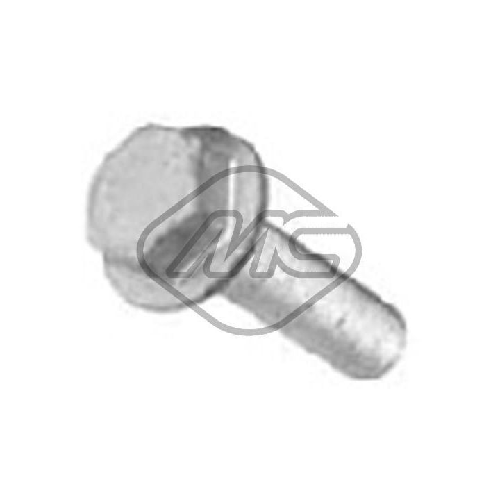 Skriemulio varžtas Metalcaucho 02255