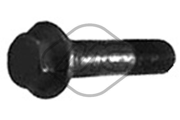 Skriemulio varžtas Metalcaucho 02259