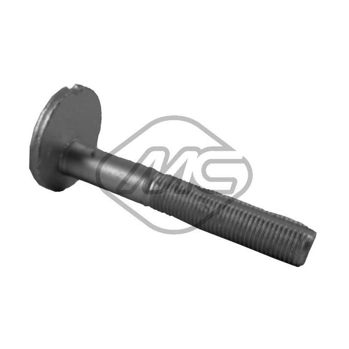 Išvirtimo reguliavimo varžtas Metalcaucho 39218