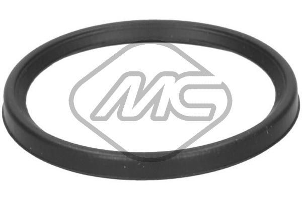 Tarpiklis, turbinos oro žarna Metalcaucho 79281