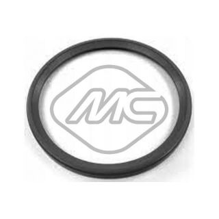 Tarpiklis, turbinos oro žarna Metalcaucho 79282