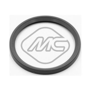 Tarpiklis, turbinos oro žarna Metalcaucho 79283