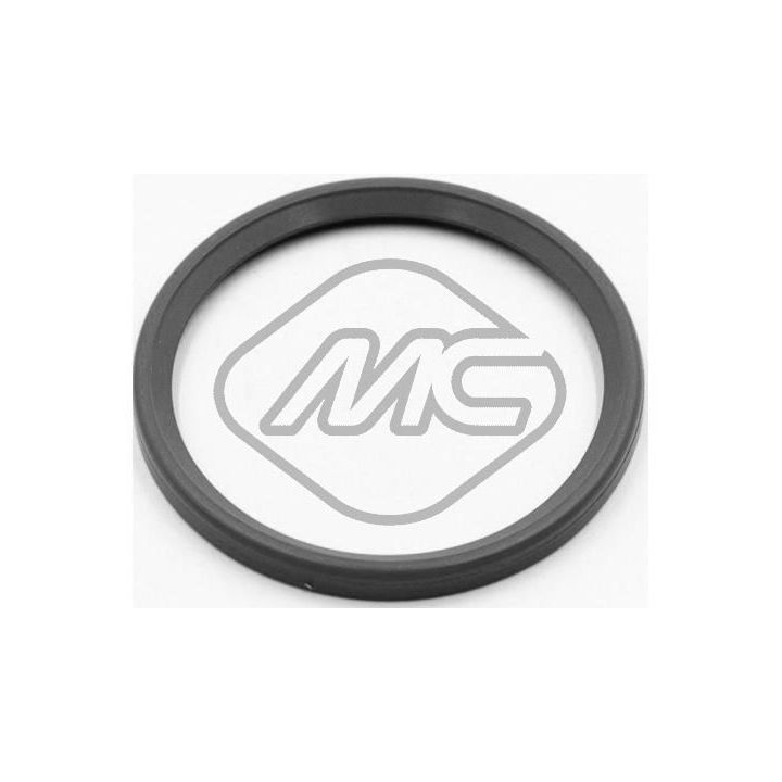 Tarpiklis, turbinos oro žarna Metalcaucho 79283