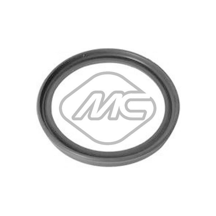 Tarpiklis, turbinos oro žarna Metalcaucho 79284