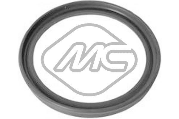 Tarpiklis, turbinos oro žarna Metalcaucho 79284