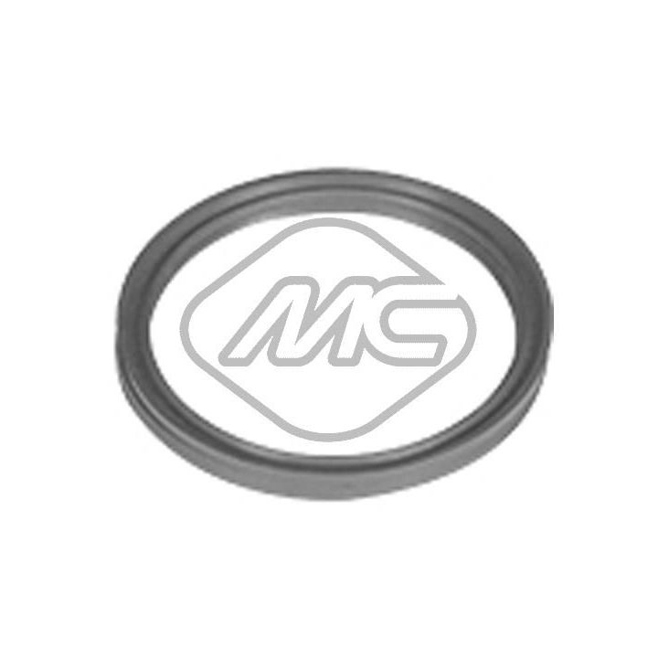 Tarpiklis, turbinos oro žarna Metalcaucho 98720