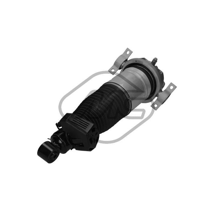 Pneumatinės spyruoklės statramstis Metalcaucho 42919