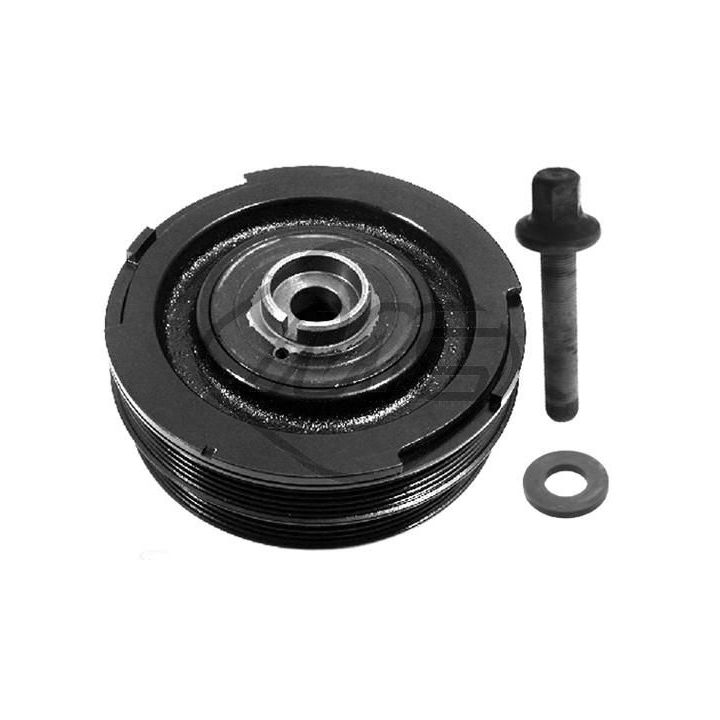 Alkūninio veleno skriemulių rinkinys Metalcaucho 14553