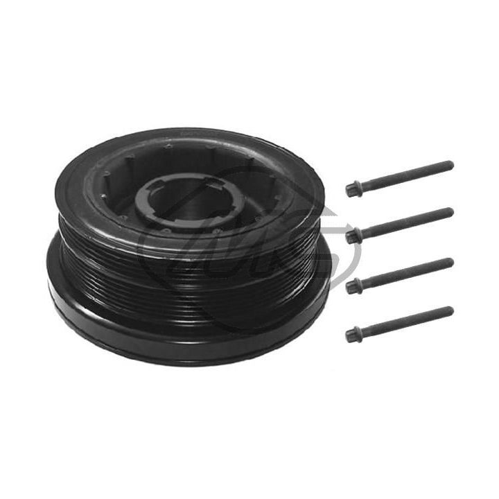 Alkūninio veleno skriemulių rinkinys Metalcaucho 15480