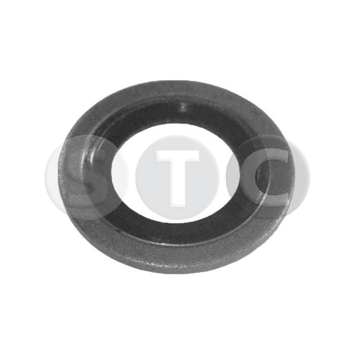 Tarpiklis, alyvos išleidimo angos kaištis STC T402024