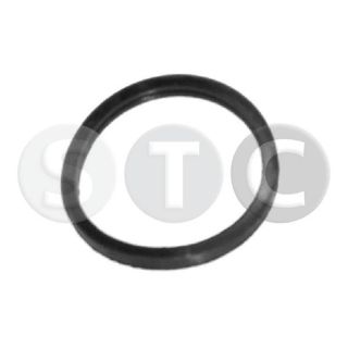 Tarpiklis, termostatas STC T402351