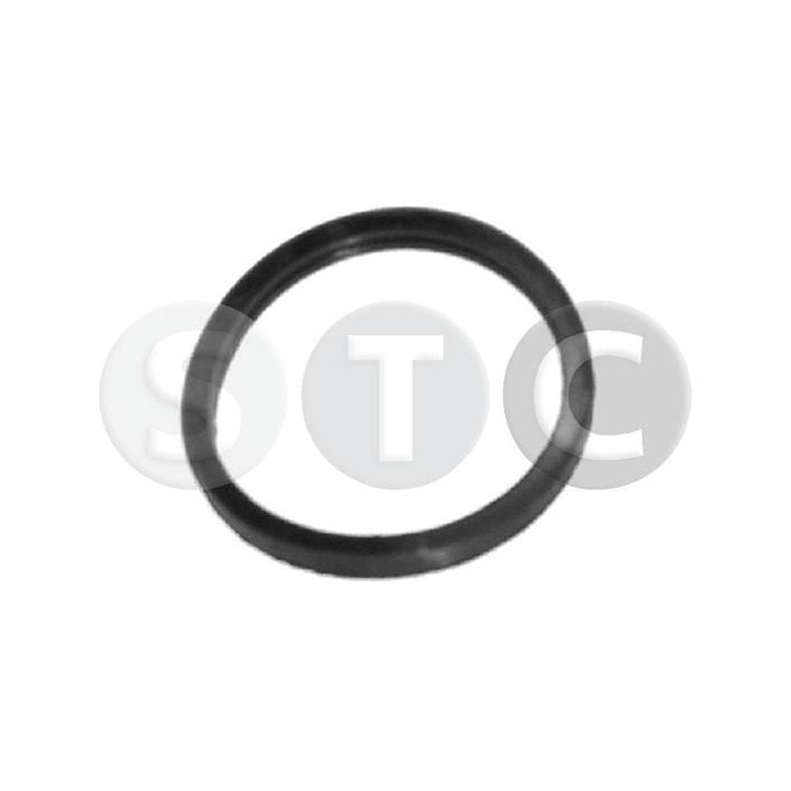 Tarpiklis, termostatas STC T402351