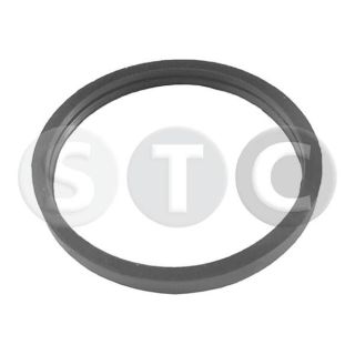 Tarpiklis, termostatas STC T402356