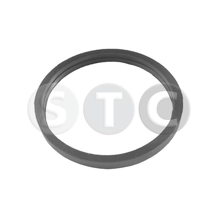 Tarpiklis, termostatas STC T402356