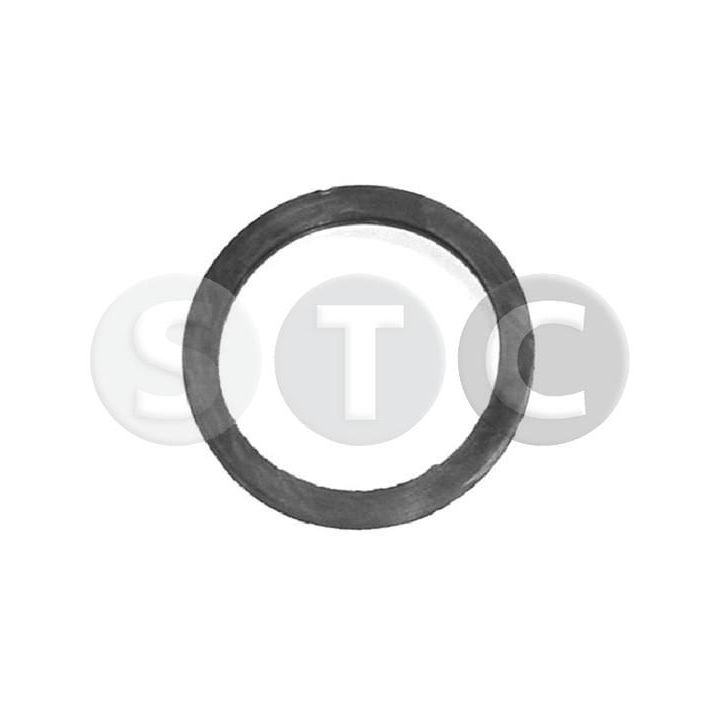 Tarpiklis, termostatas STC T402362