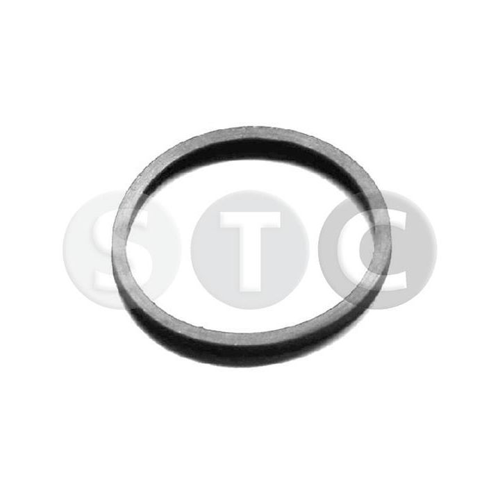 Tarpiklis, termostatas STC T402404