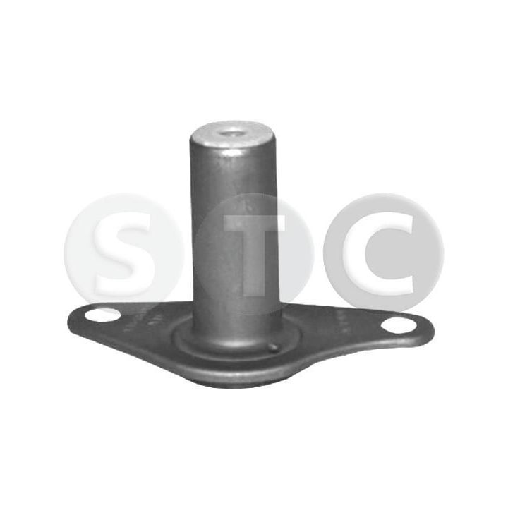 Kreipiantysis vamzdis, sankaba STC T442118