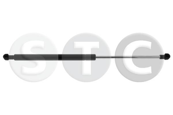 Dujinė spyruoklė, bagažinė STC T446171