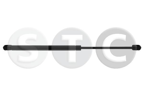 Dujinė spyruoklė, bagažinė STC T446185