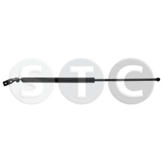 Dujinė spyruoklė, bagažinė STC T446252