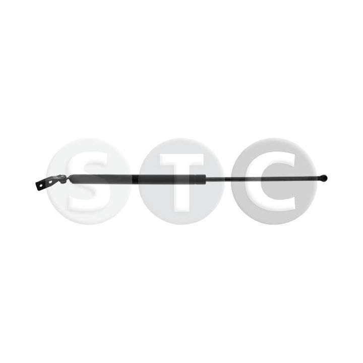 Dujinė spyruoklė, bagažinė STC T446252