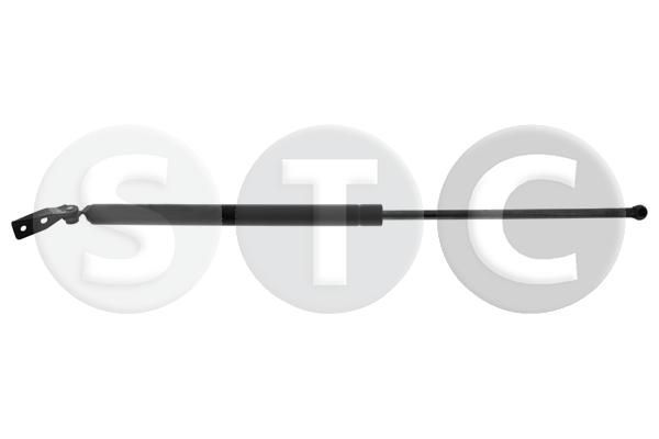 Dujinė spyruoklė, bagažinė STC T446252