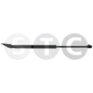 Dujinė spyruoklė, bagažinė STC T446280