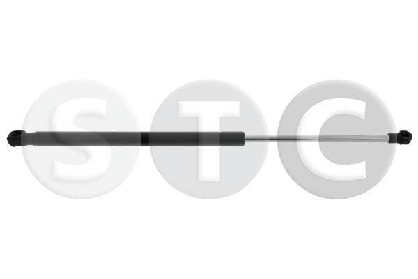 Dujinė spyruoklė, bagažinė STC T446306