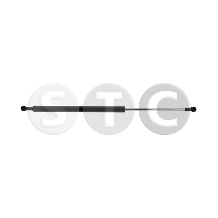 Dujinė spyruoklė, bagažinė STC T446321