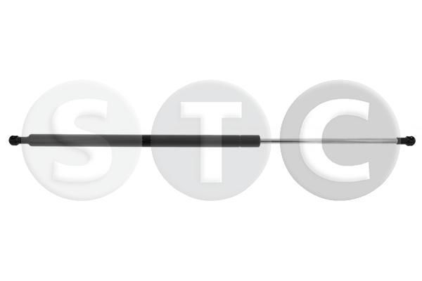 Dujinė spyruoklė, bagažinė STC T446335