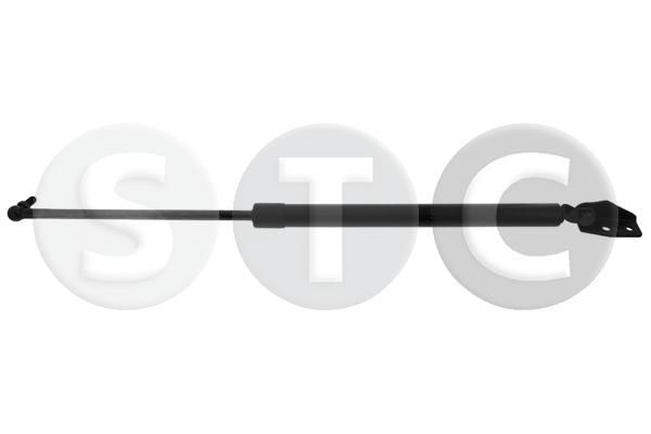 Dujinė spyruoklė, bagažinė STC T446336