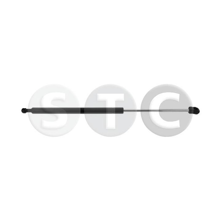 Dujinė spyruoklė, bagažinė STC T446348