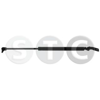 Dujinė spyruoklė, bagažinė STC T446371