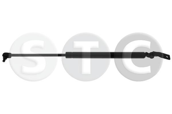 Dujinė spyruoklė, bagažinė STC T446371