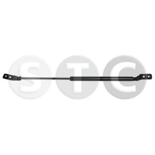 Dujinė spyruoklė, bagažinė STC T446380