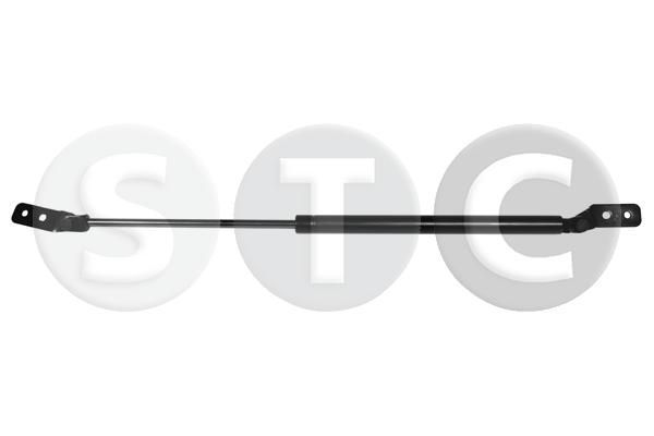 Dujinė spyruoklė, bagažinė STC T446380